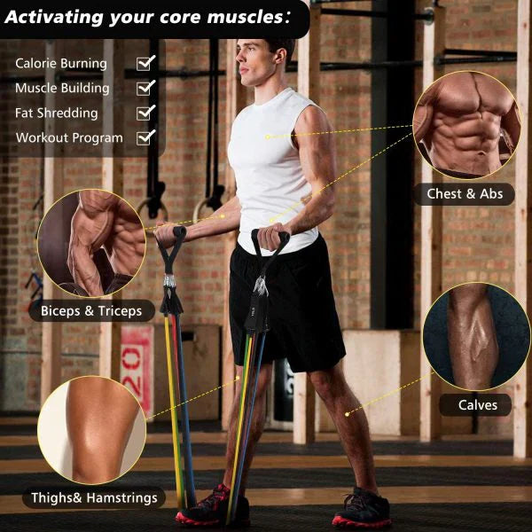 High Quality Portable Resistance Bands With Handles, Resistance Tubes & Workout Bands Exercise Band Elastic Pull Rope 11 Pcs Set
